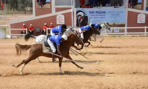 Tent Pegging Tent Pegging