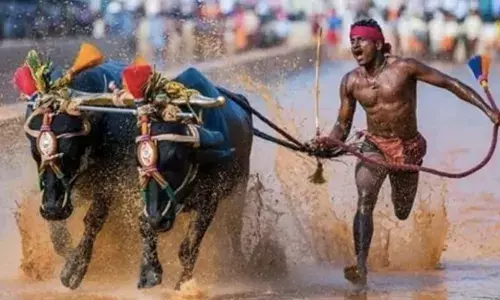 Srinivas Gowda breaks Usain Bolts record - 100 metres in 8.96 seconds