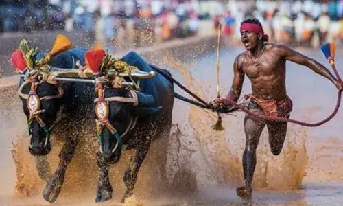 Why expecting Srinivas Gowda to succeed in athletics is pointless?