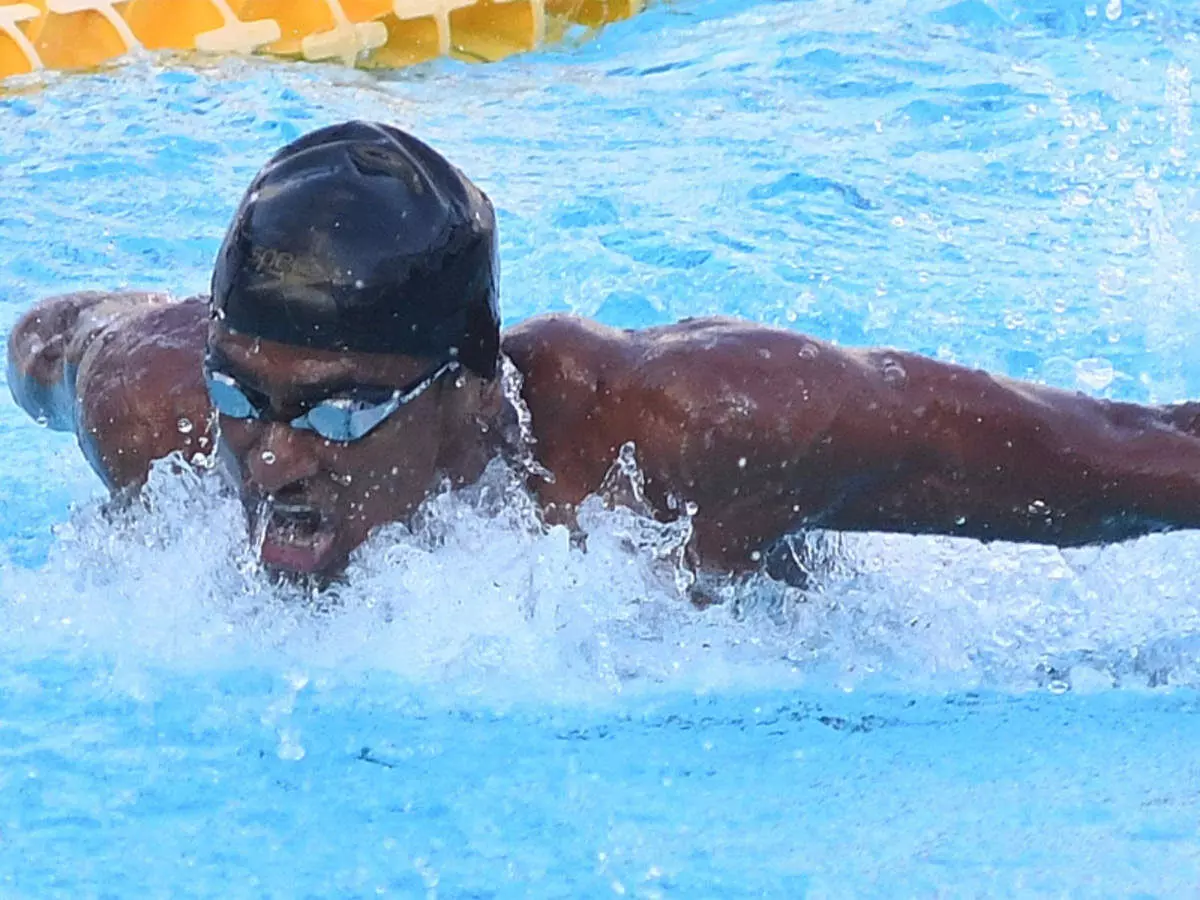 Swimmer Sajan Prakash in action [Source: TOI]