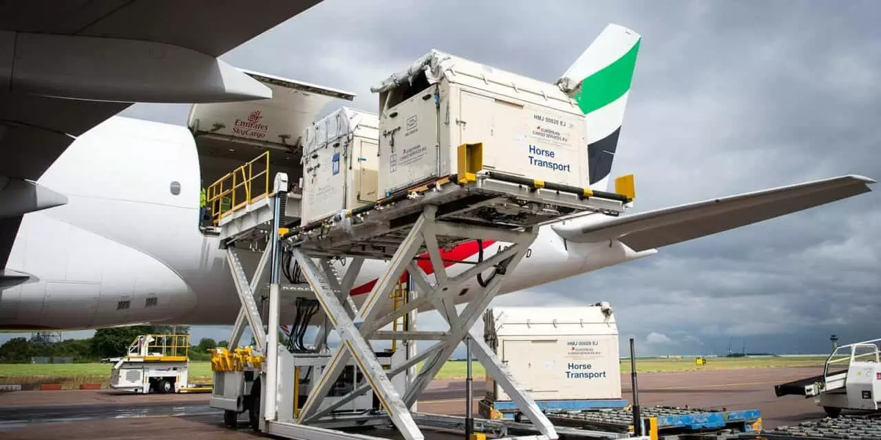 The stalls being carried upwards (Source: The Horse)