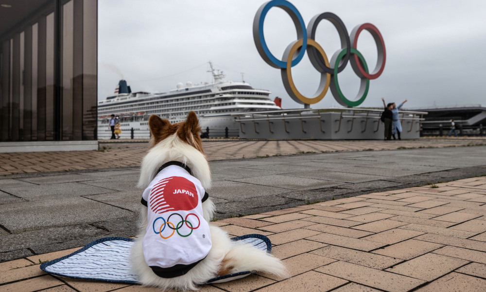 The Dog Olympics specifically meant for doggies and dog lovers