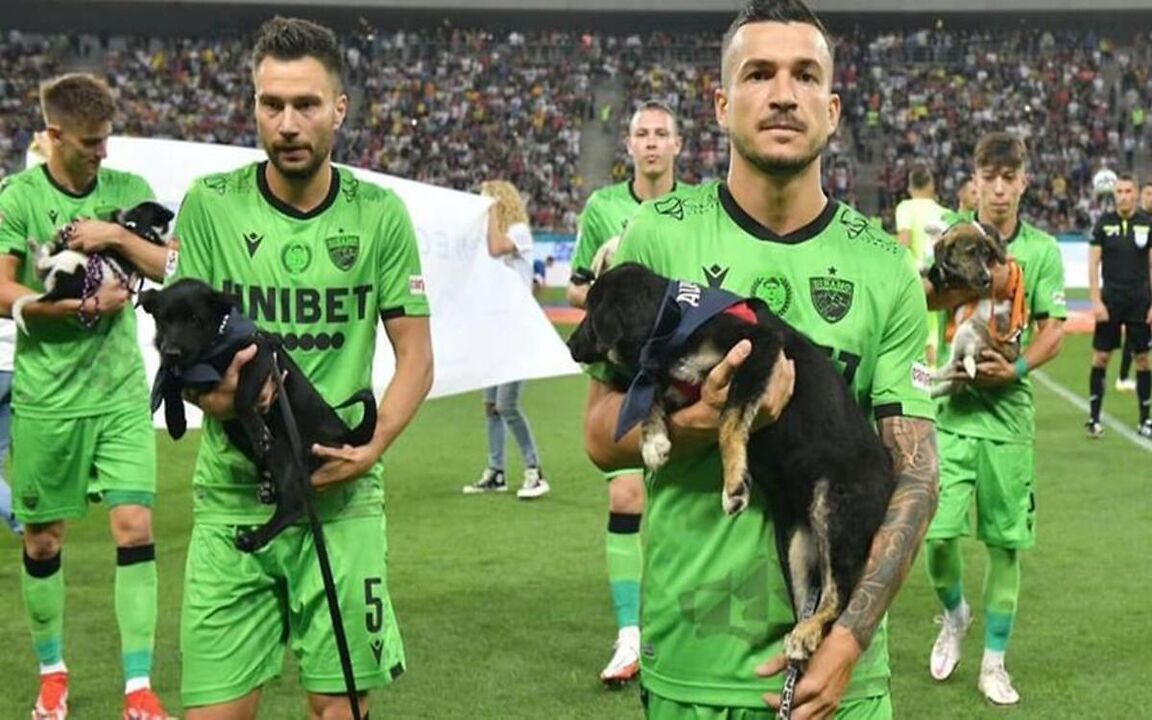 Federația Română de Fotbal încurajează adoptarea câinilor fără stăpân
