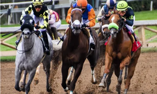 Is horse racing considered a sport?