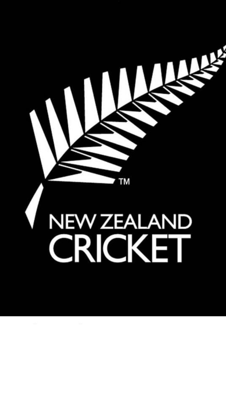 New Zealand Cricket, NZC Flag Seamless Looped Waving with Pole Base Stand,  Isolated on Alpha Channel Black and White Matte, Plain and Bump Texture  Cloth Variation 3D Render 24674869 Stock Video at