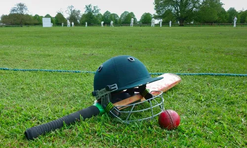 Cricket (generic photo)