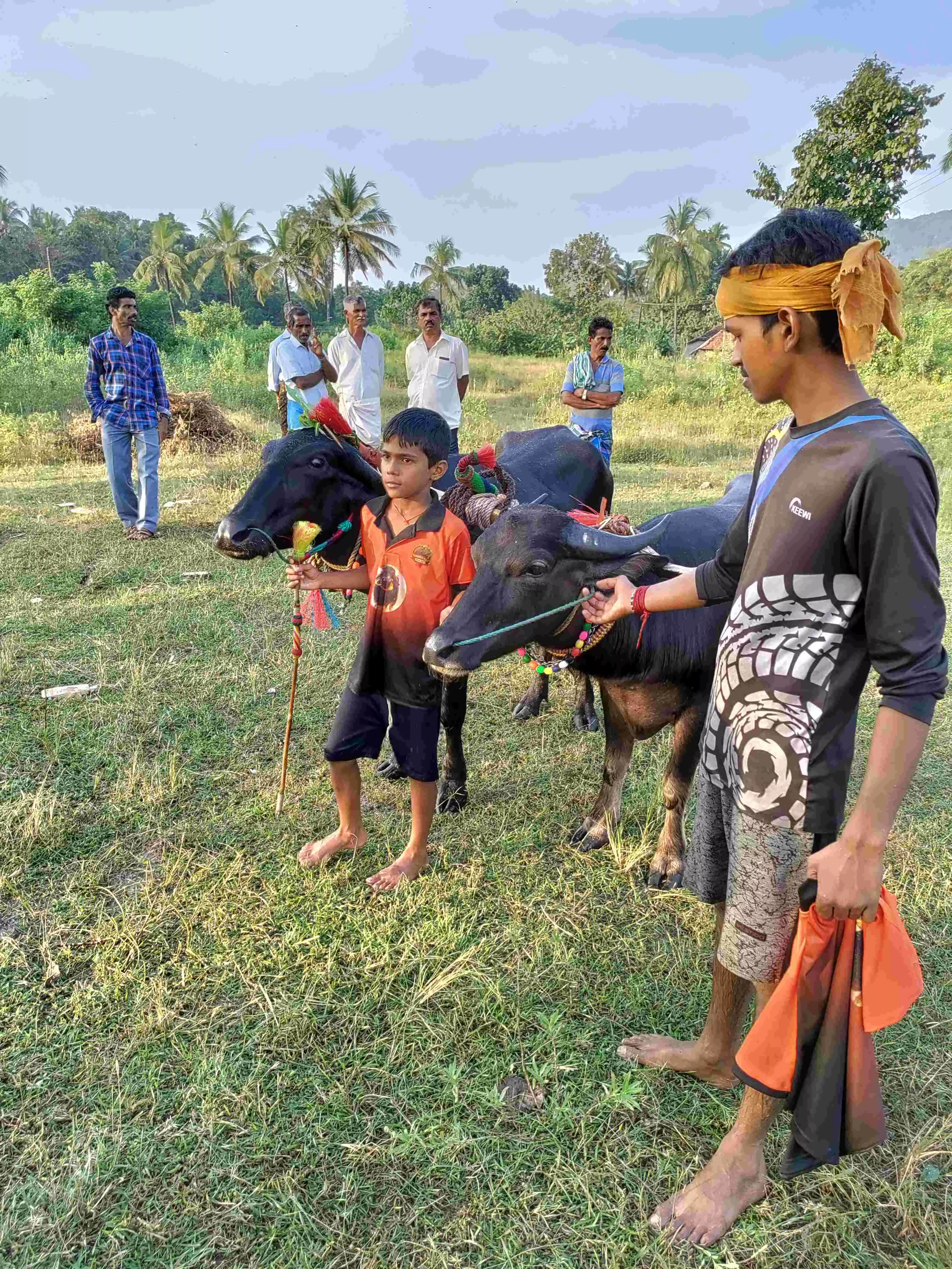 Being a kambala runner is a dream for numerous young boys in Tulu Nadu; but for girls, their involvement with the sport is currently restricted to taking care of the buffaloes.