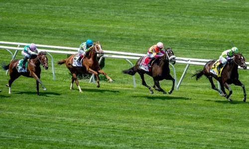 Best Indian Horse Racing Sites – Bonuses, features, and more