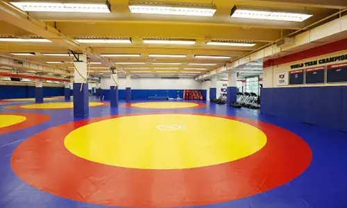 Wrestling Academy