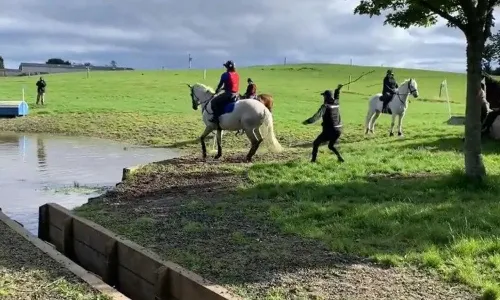 Mark Todd  Equestrian