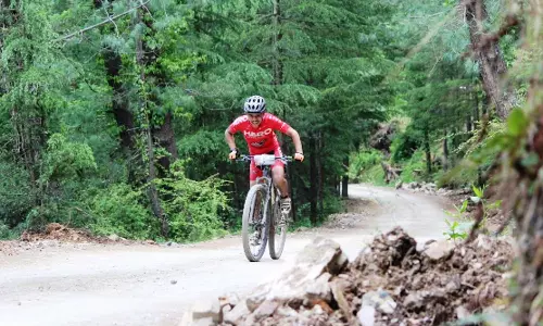 MTB and BMX MTB and BMX