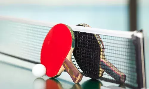 Table Tennis Federation of India will have to submit an affidavit clarifying the selection procedure they used to choose the CWG squad, as per Delhi High Court orders