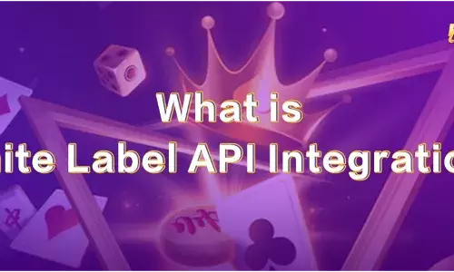What is White Label API Integration?