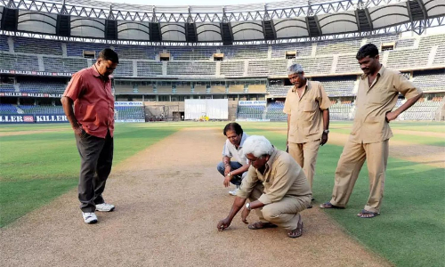 Cricket stadium curators and groundsmen