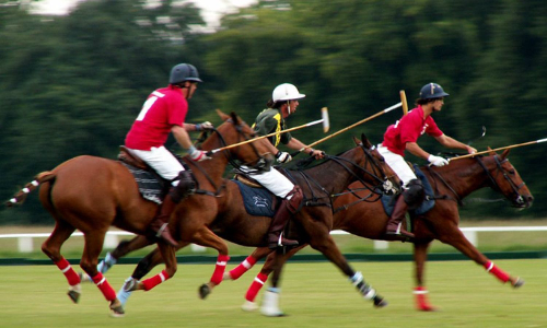 Horse Polo match played after decades in Gurez of Jammu and Kashmir