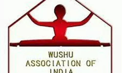 3 world champions to compete in Senior National Wushu Championship
