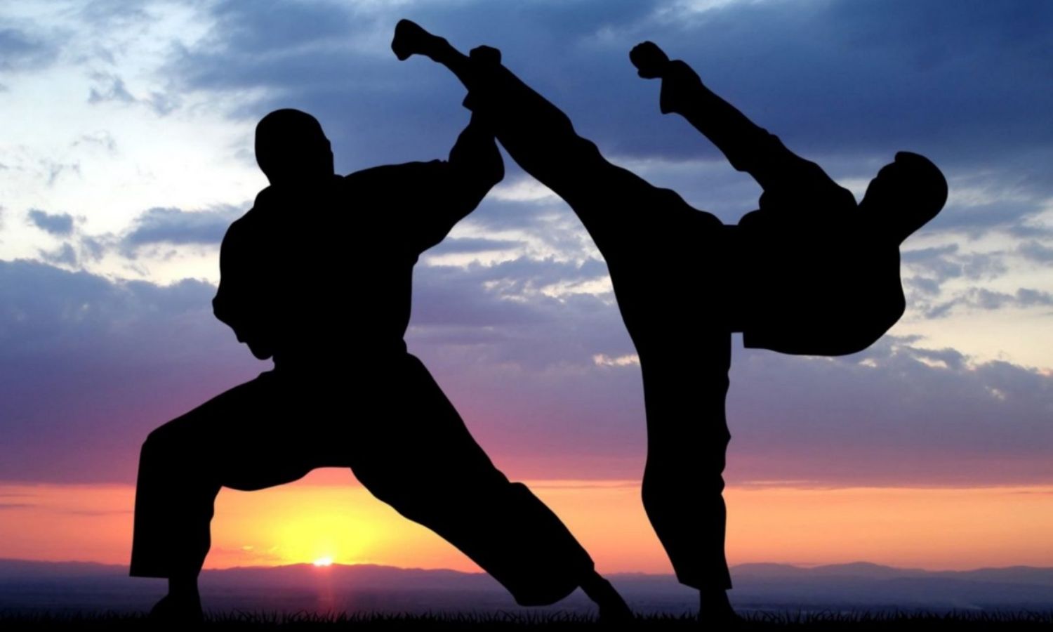India and Martial Arts: Systems, Traditions and Standings