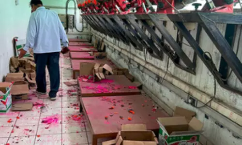 Controversy erupts over flash targets at Para Shooting World Cup trap finals