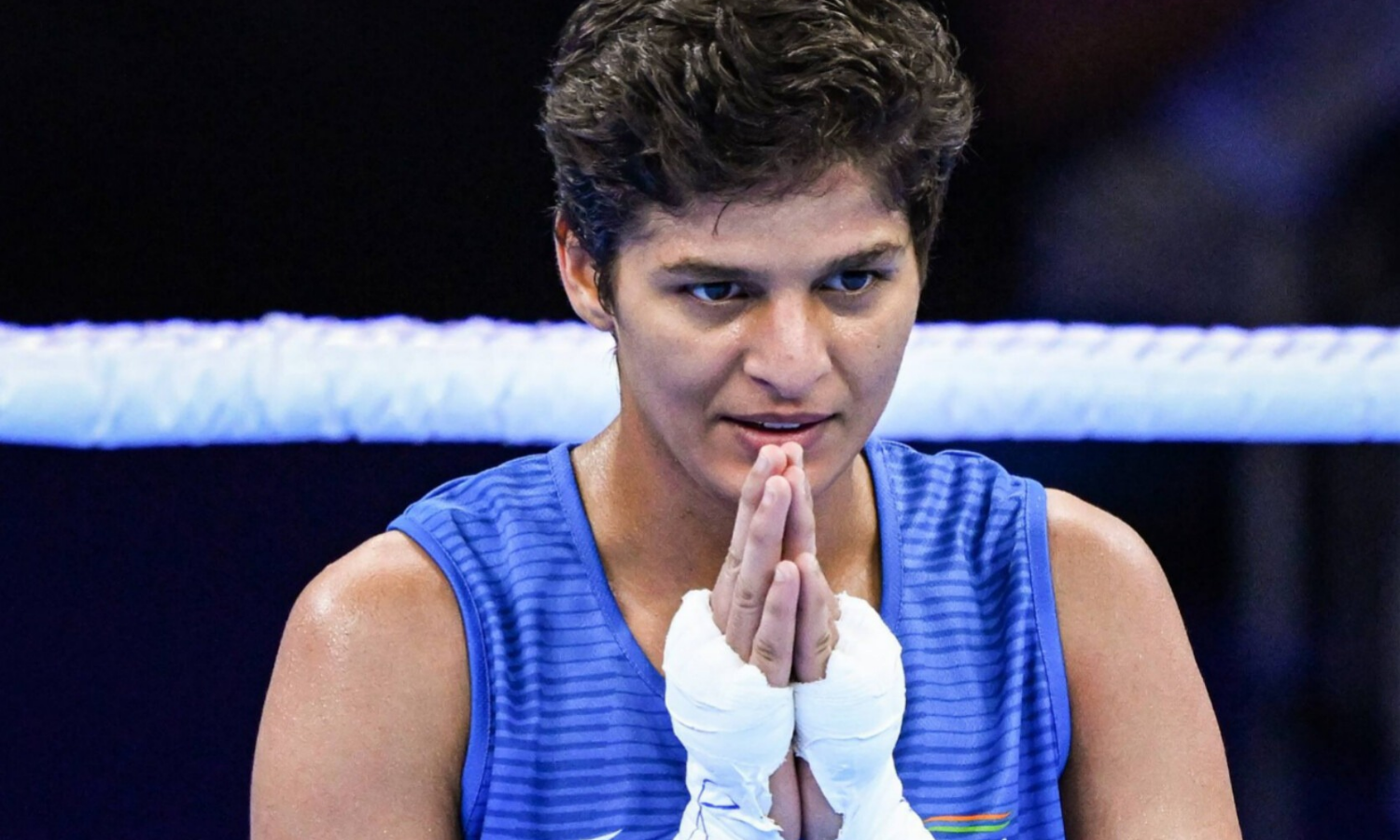 All you need to know about Jasmine Lamboria All you need to know about Jasmine Lamboria