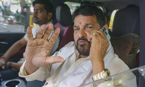 wrestlers sexual harassment