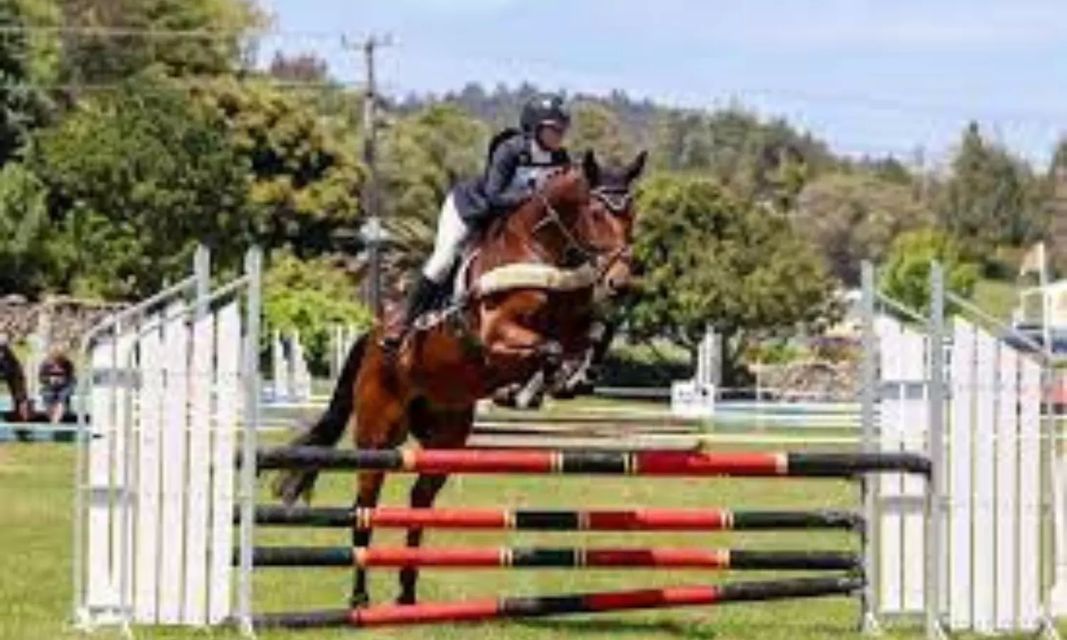 Ali Hatim Lakdawala wins Young Rider Showjumping at JNEC 2024