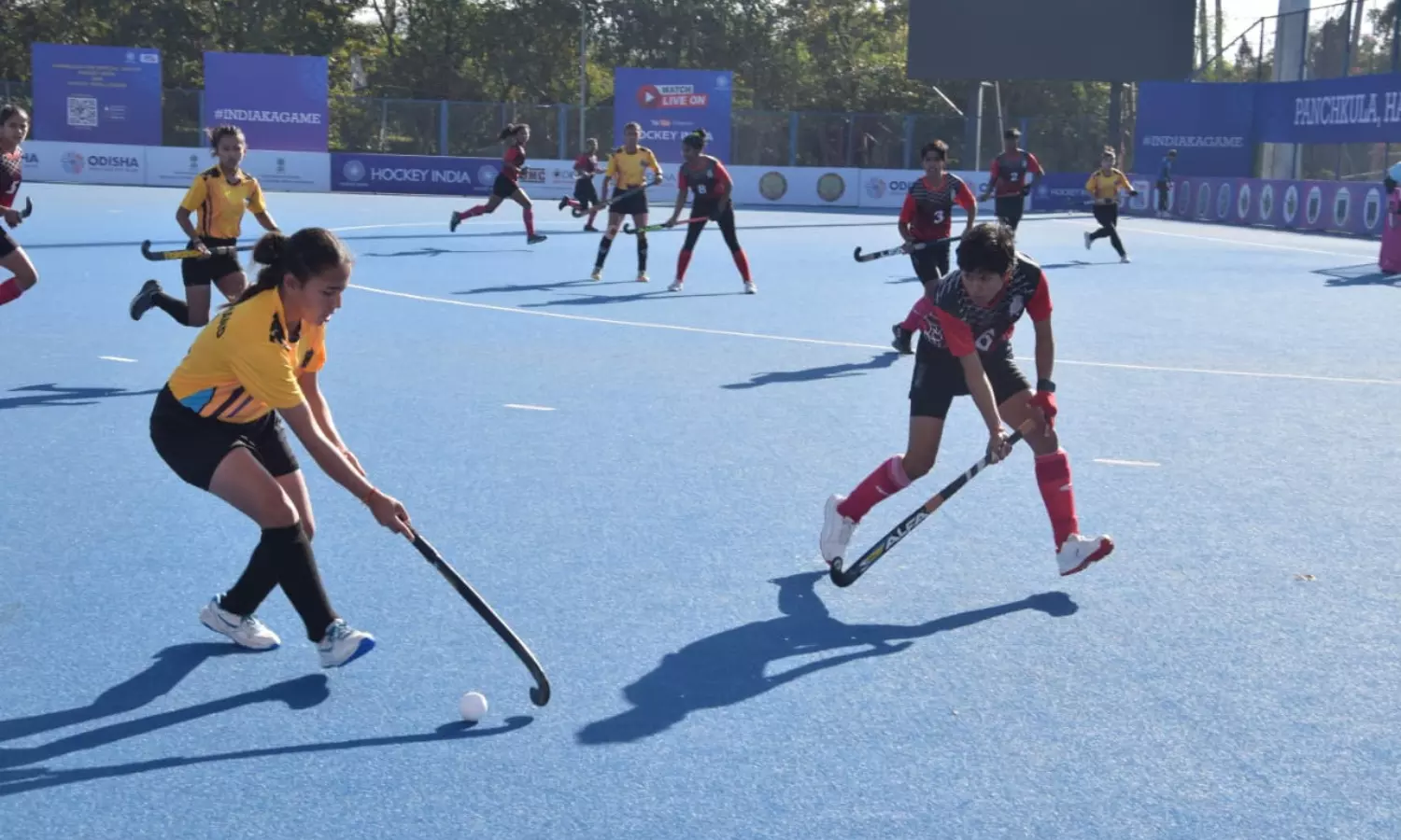 Hockey India Sr. Women National Championship: MP win on day 5, Division ‘A’  matches begin