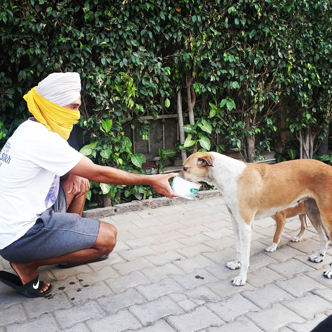Former Indian international hockey player Jasjit Singh Kular, the resident of Sansarpur village in Jalandhar feeds stray dogs. (Source: Instagram)