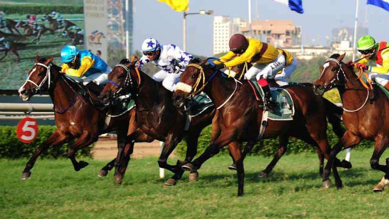 In 1996 in K.R. Lakshmanan vs. State of Tamil Nadu & Ors horse racing was held to be “preponderantly a game of skill”