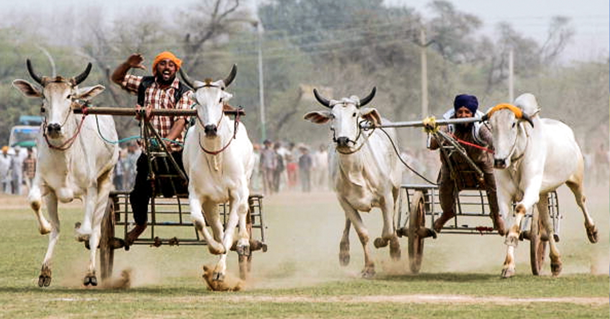 India's rural Olympics - Village in Punjab hosting traditional sports  events since 1933